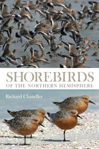 SHOREBIRDS OF THE NORTHERN HEMISPHERE