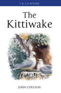 THE KITTIWAKE