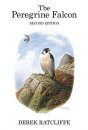 THE PEREGRINE FALCON