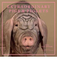 EXTRAORDINARY PIGS & PIGLETS 2013