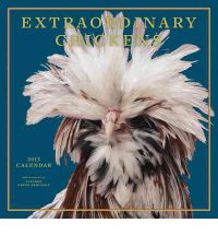 EXTRAORDINARY CHICKENS 2013