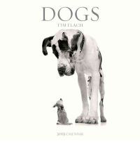DOGS 2013