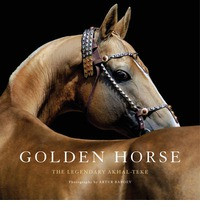 GOLDEN HORSE