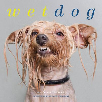 WETDOG 2016 CALENDAR