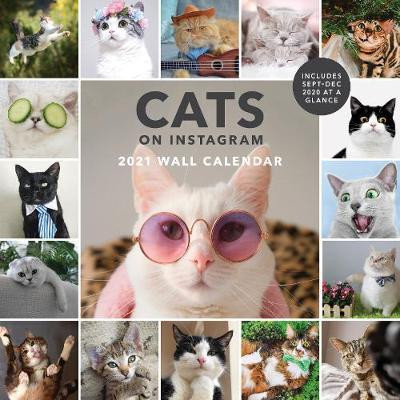 CATS ON INSTAGRAM 2021 WALL CALENDAR