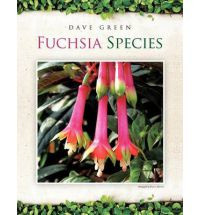 FUCHSIA SPECIES
