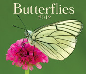 BUTTERFLIES 2012