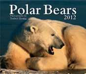 POLAR BEARS 2012