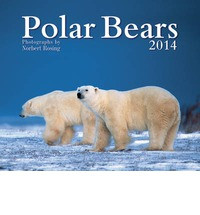 POLAR BEARS 2014