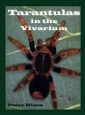 TARANTULAS IN THE VIVARIUM