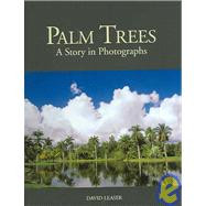 PALM TREES