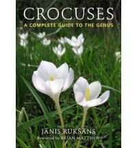 CROCUSES