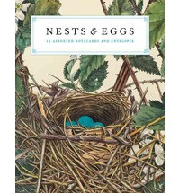 NESTS & EGGS 12 ASSORTED NOTECARDS AND ENVELOPES