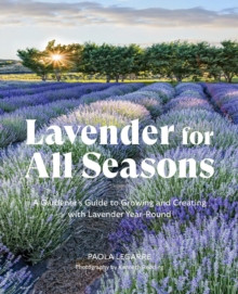LAVENDER FOR ALL SEASONS
