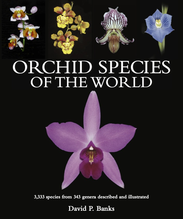 ORCHID SPECIES OF THE WORLD