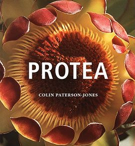 PROTEA