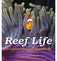REEF LIFE