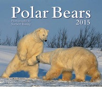 POLAR BEARS 2015