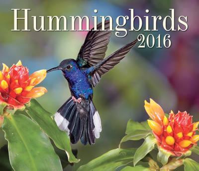 HUMMINGBIRD 2016