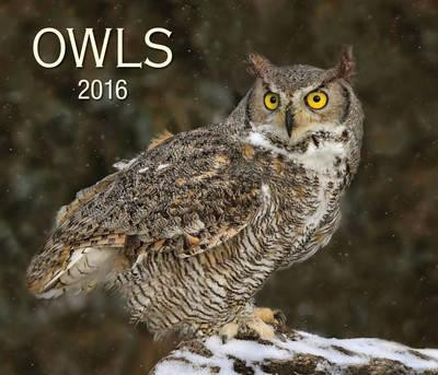 OWLS 2016