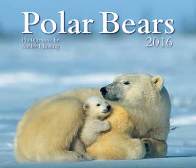 POLAR BEARS 2016