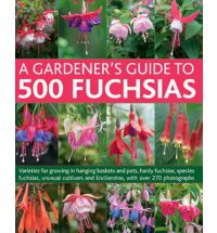 A GARDENER S GUIDE TO 500 FUCHSIAS