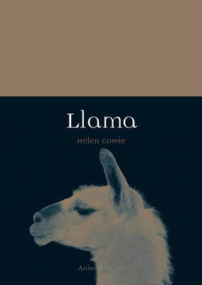 LLAMA