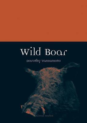WILD BOAR