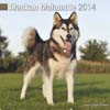 ALASKAN MALAMUTE 2014