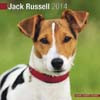 JACK RUSSELL 2014