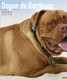 DOGUE DE BORDEAUX 2015