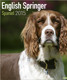 ENGLISH SPRINGER SPANIEL 2015
