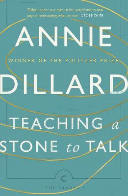 TEACHING A STONE TO TALK