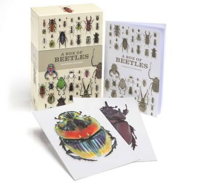 A BOX OF BEETLES