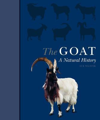 THE GOAT