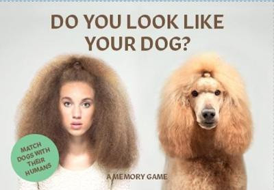 DO YOU LOOK LIKE YOUR DOG