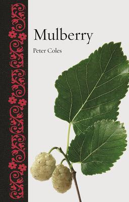 MULBERRY