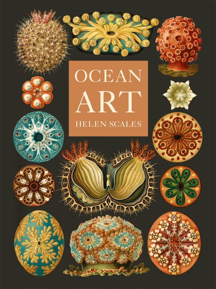 OCEAN ART
