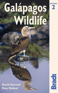 GALAPAGOS WILDLIFE