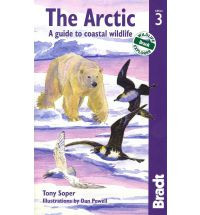 THE ARTIC