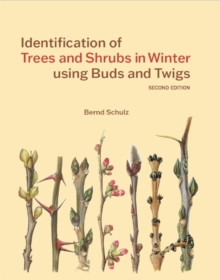 IDENTIFICATION OF TREES AND SHRUBS IN WINTER USING BUDS AND TWIGS