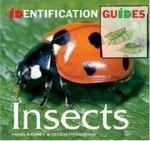 INSECTS
