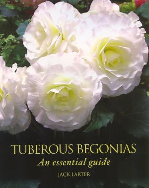 TUBEROUS BEGONIAS
