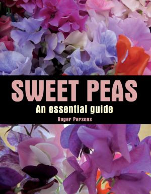 SWEET PEAS