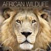 AFRICAN WILDLIFE 2014