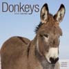 DONKEYS 2014