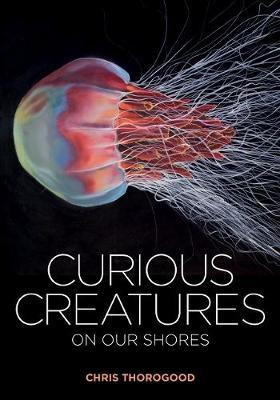 CURIOUS CREATURES