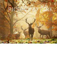 RICHMOND PARK