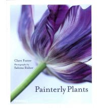 PAINTERLY PLANTS