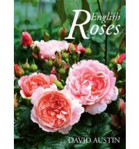 DAVID AUSTIN S ENGLISH ROSES